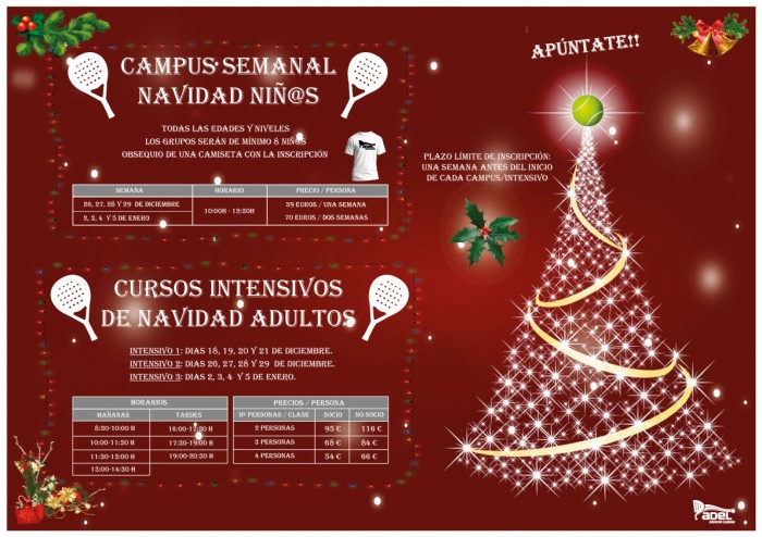 Campus Niñ@s / Intensivos Adultos Navidad 2017