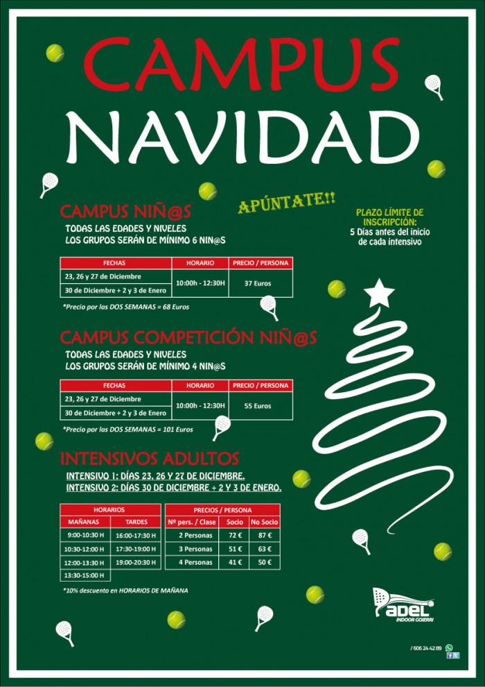 Intensivos Navidad 2024